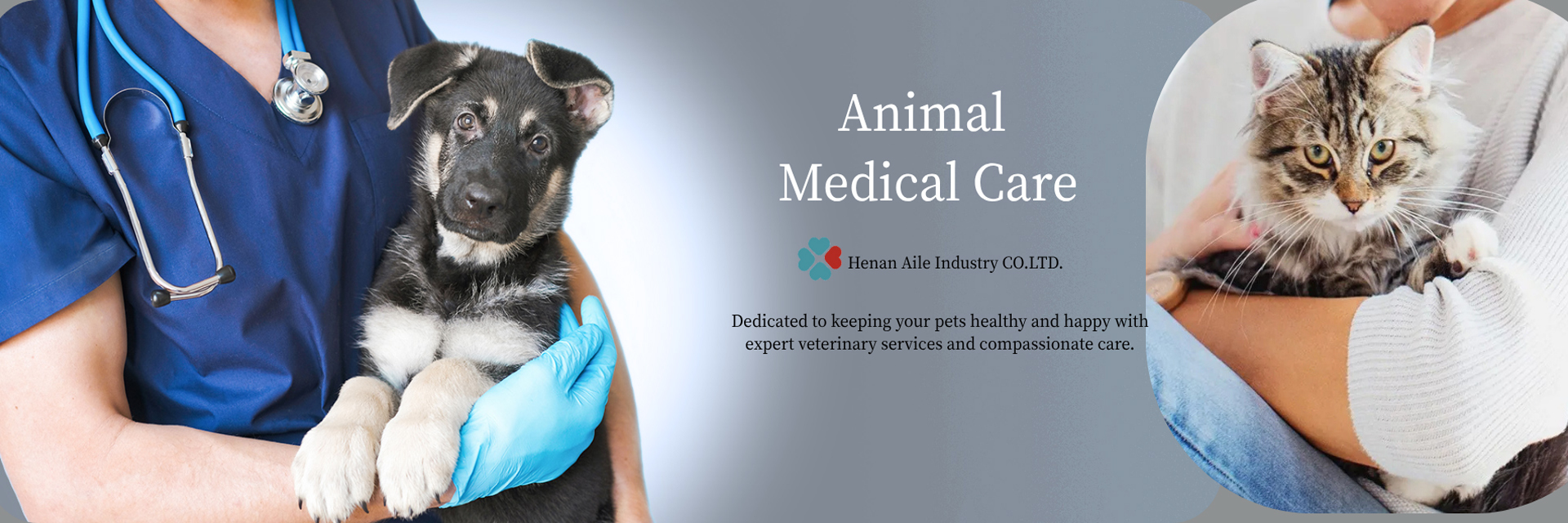 品質 真空採血システム 工場