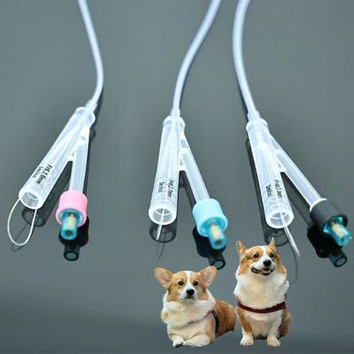 よい価格 獣医用犬尿管カテーテル 質の高いPVC/シリコン材料,ペットケアのための耐久性のあるソリューション オンライン