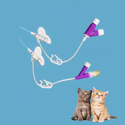 購入 PVCステンレス鋼猫と犬用IVカニューレY型 優れた固定 多サイズ 14G 16G 18G 20G 22G 24G 26G オンライン製造