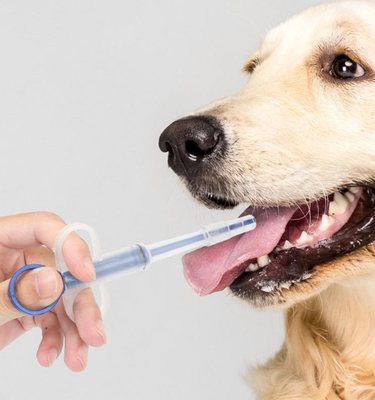 よい価格 Feeding Tube Pet Dog Cat Pill Gun Medicine Syringe Feeding Kit Durable Plastic オンライン