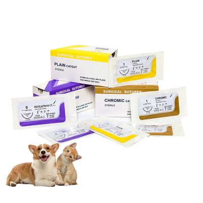 購入 病院外科 使い捨て シンプル カットガット 針付き 縫合用 医療用 縫合用 PGA/pdo/シルク/ナイロン/カットガット ステリル 外科 縫合用 オンライン製造