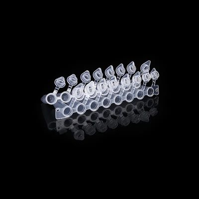 よい価格 付けられた帽子PCR 8の接続された管が付いているドーム形の帽子0.2ml PCRの管8のストリップ オンライン