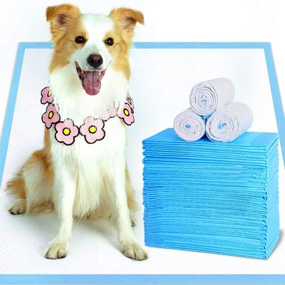 よい価格 リネン救済者の病院の使い捨て可能な犬は45*50cm使い捨て可能なUnderpadにパッドを入れる オンライン