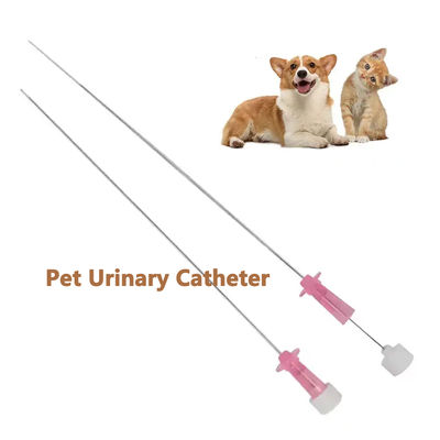 よい価格 猫 の 尿管 の 治療 に おける 理想 的 な 解決策! オンライン