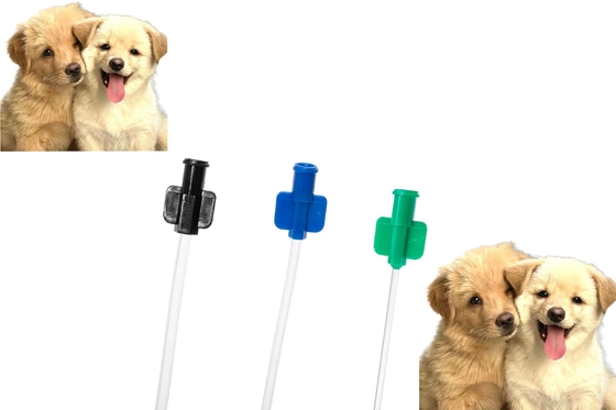 よい価格 PVC犬用尿道カテーテル洗浄保持ペットチューブ、犬の尿路ケア用 オンライン